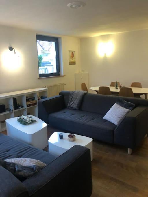 Maison De Village Pres De Colmar De 90 M2 オルブール エクステリア 写真